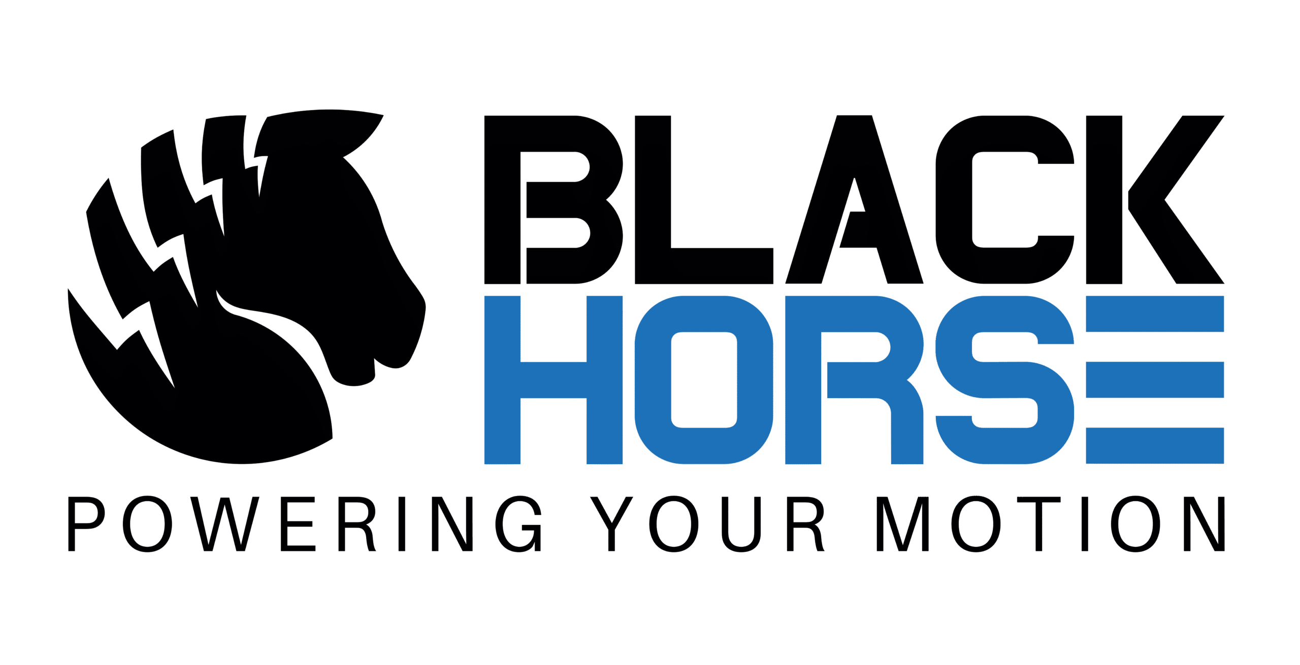 Black-Horse-Logo-Variations-01-scaled
